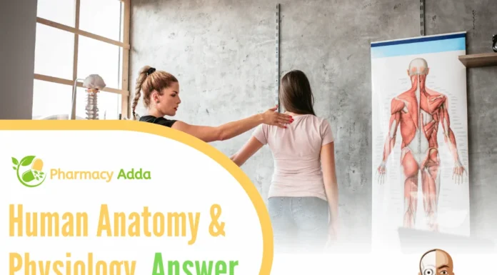 Msbte Human Anatomy And Physiology Questions And Answers Human Anatomy And Physiology Questions And Answers