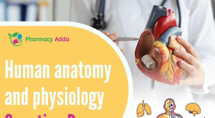 Msbte Human anatomy and physiology Question Paper Pdf Human anatomy and physiology Question Paper