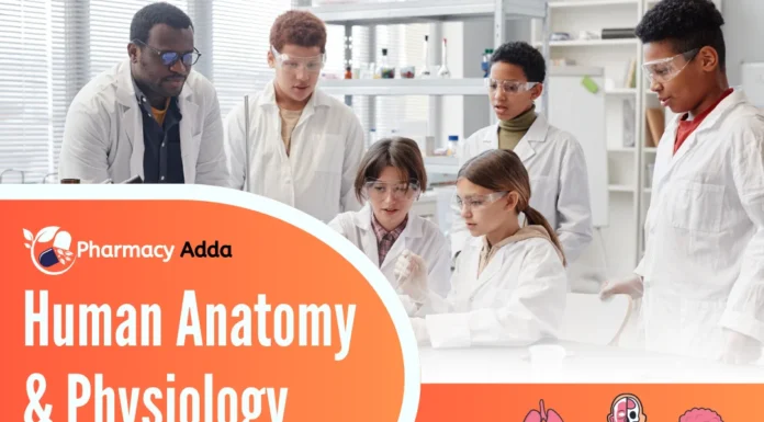 20114 Human Anatomy And Physiology Multiple Choice Questions With Answers Human Anatomy And Physiology Multiple Choice Questions With Answers